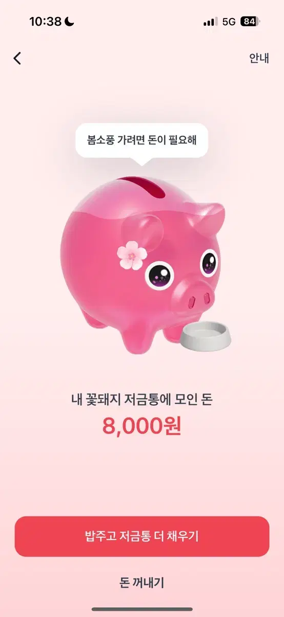 토스 꽃돼지 밥 주세요!! 제발